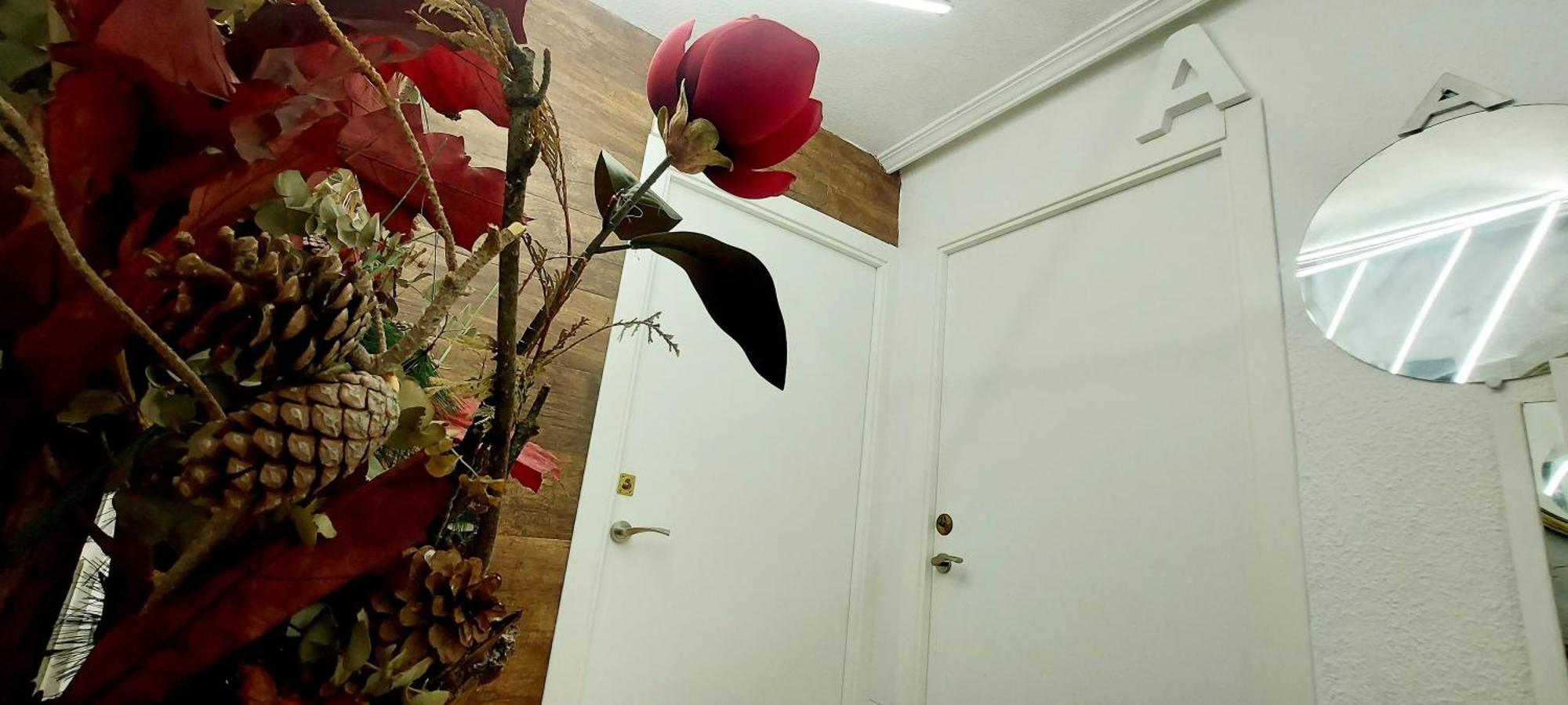 Modern Apartment In Alacant 60M² Wheelchair Accessible Alicante Extérieur photo